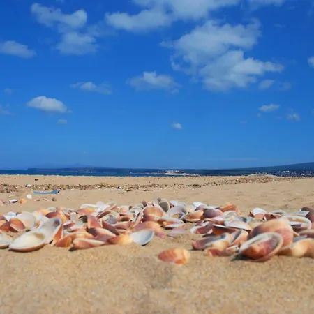 Monolocale Il Nido *